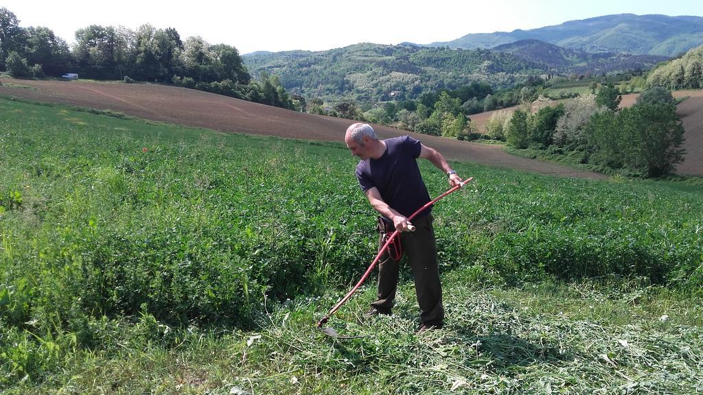 维基奥Agriturismo Stazione Di Monta别墅 外观 照片