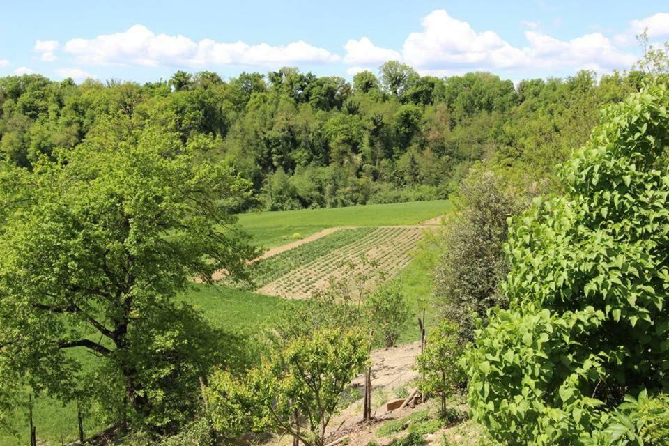 维基奥Agriturismo Stazione Di Monta别墅 外观 照片